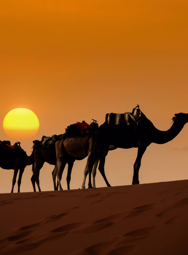 4 Days tour from Marrakech to Merzouga